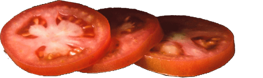 burger tomato